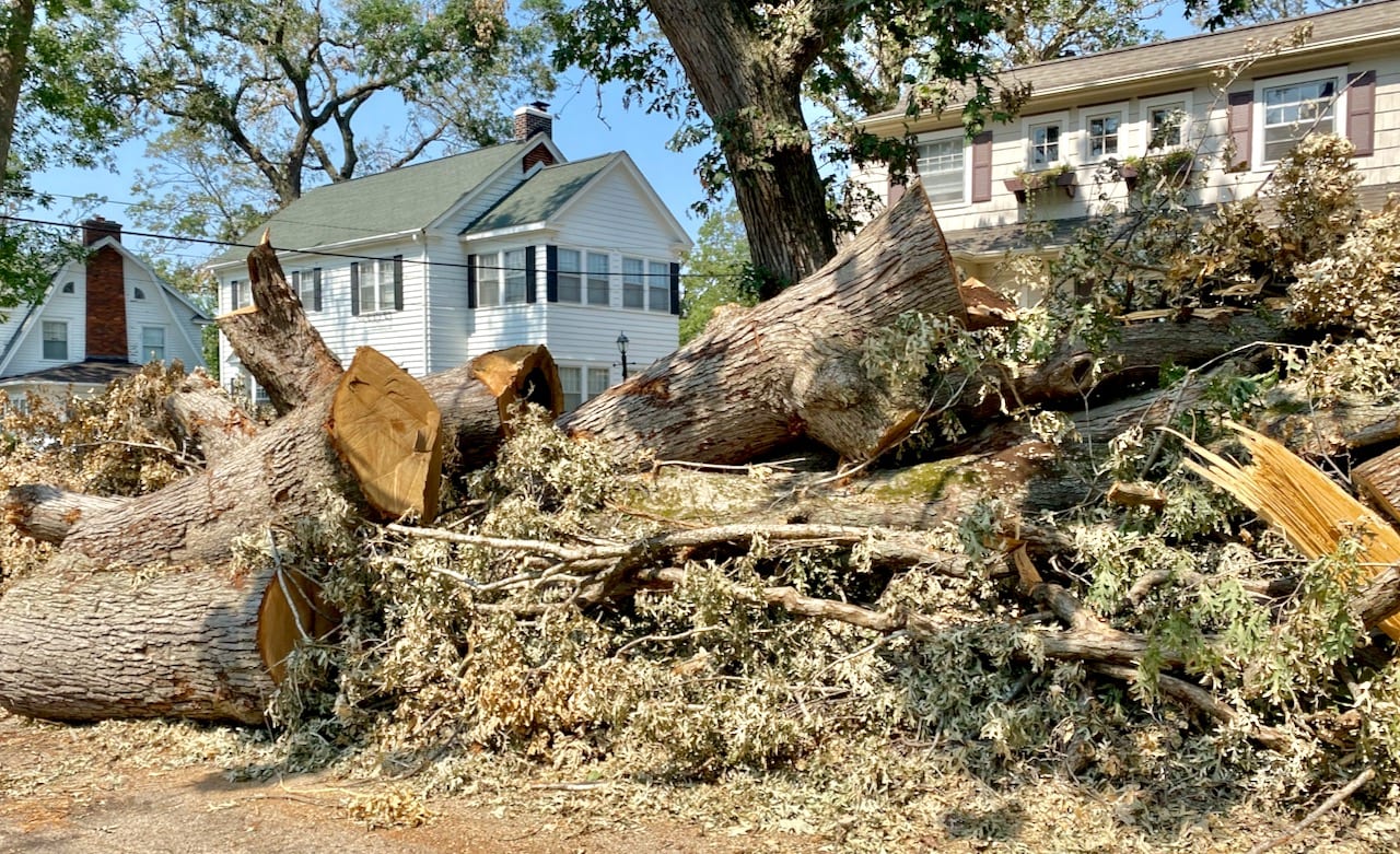 Derecho Devastation-Cedar Rapids-8.10.2020_©2020-Jonathan-David-Sabin_All-Rights-Reserved